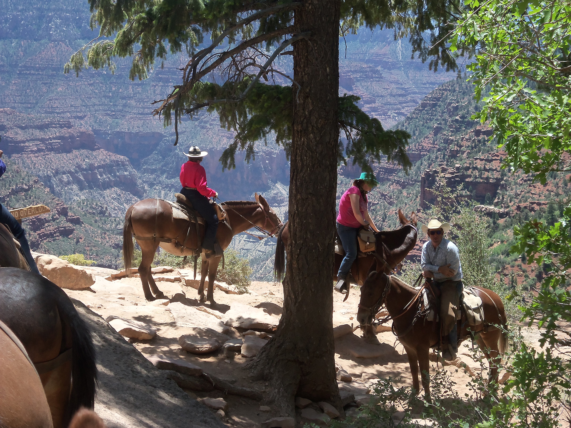 Red Rock Ride Rider Form 2014 Spring Ride 3 | Red Rock Ride
