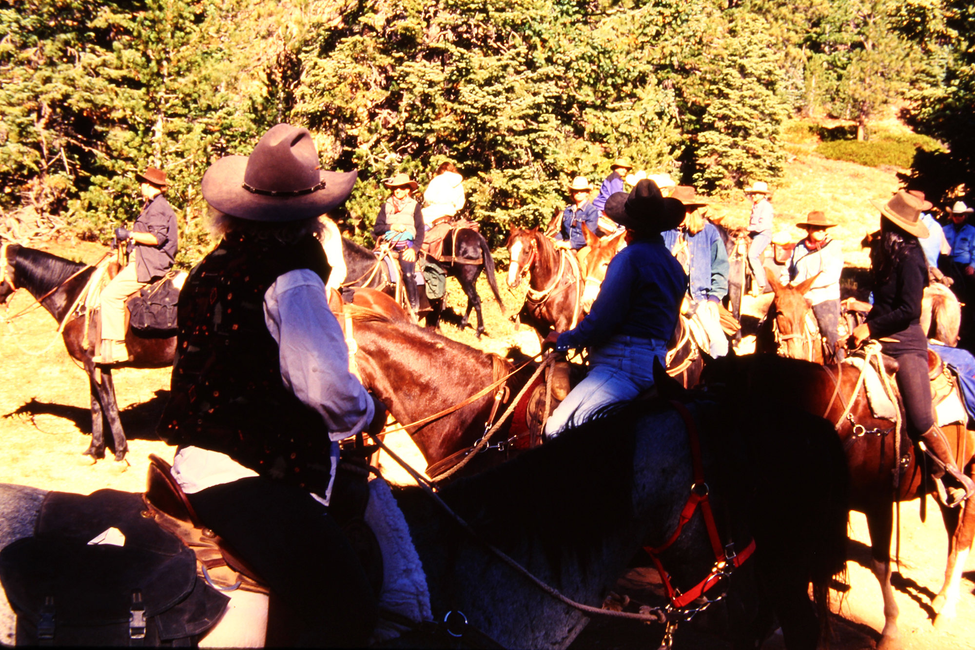 Red Rock Ride Rider Form The Early Years | Red Rock Ride