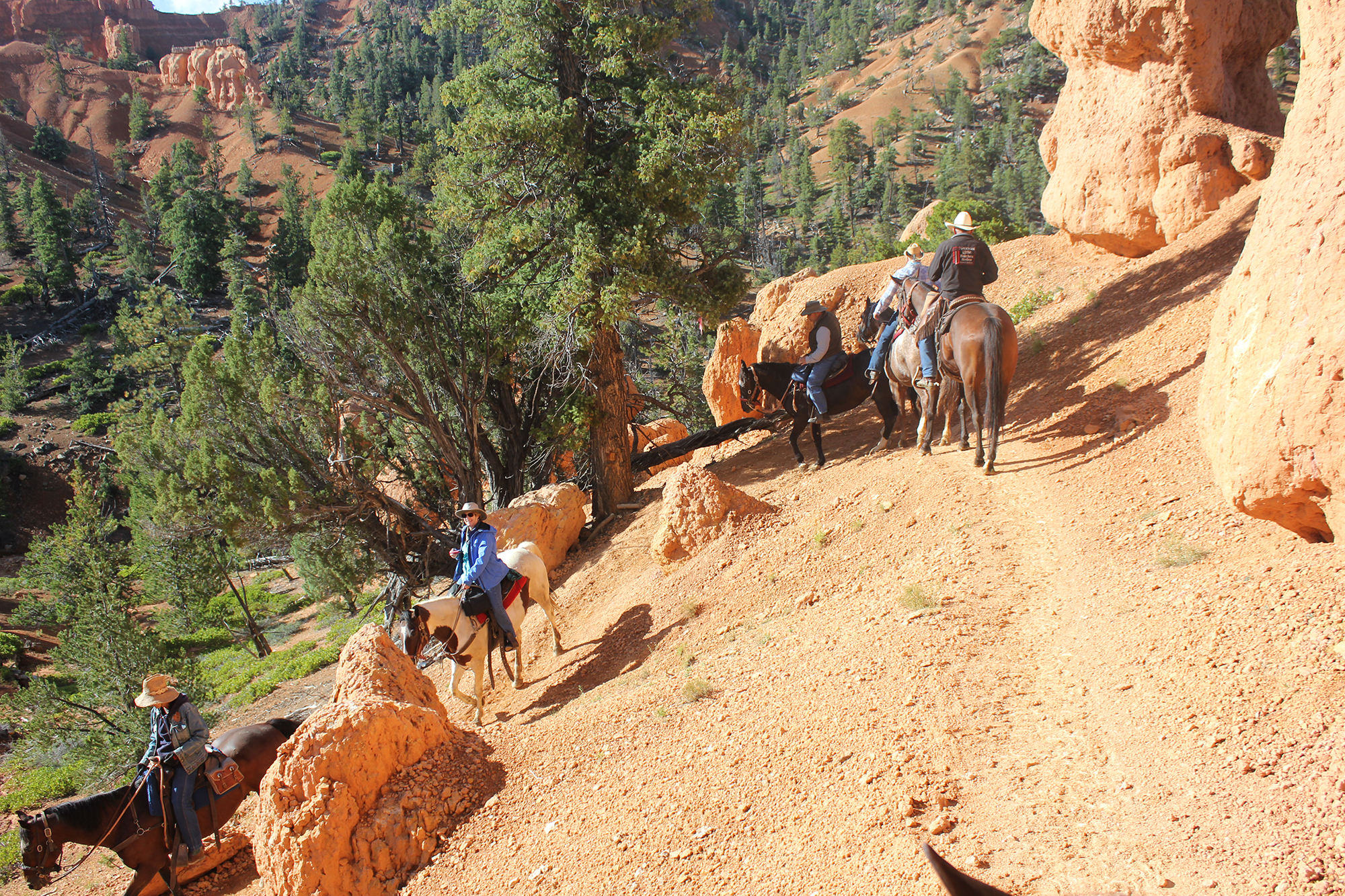 Red Rock Ride Rider Form 2015 Fall Ride 2 | Red Rock Ride