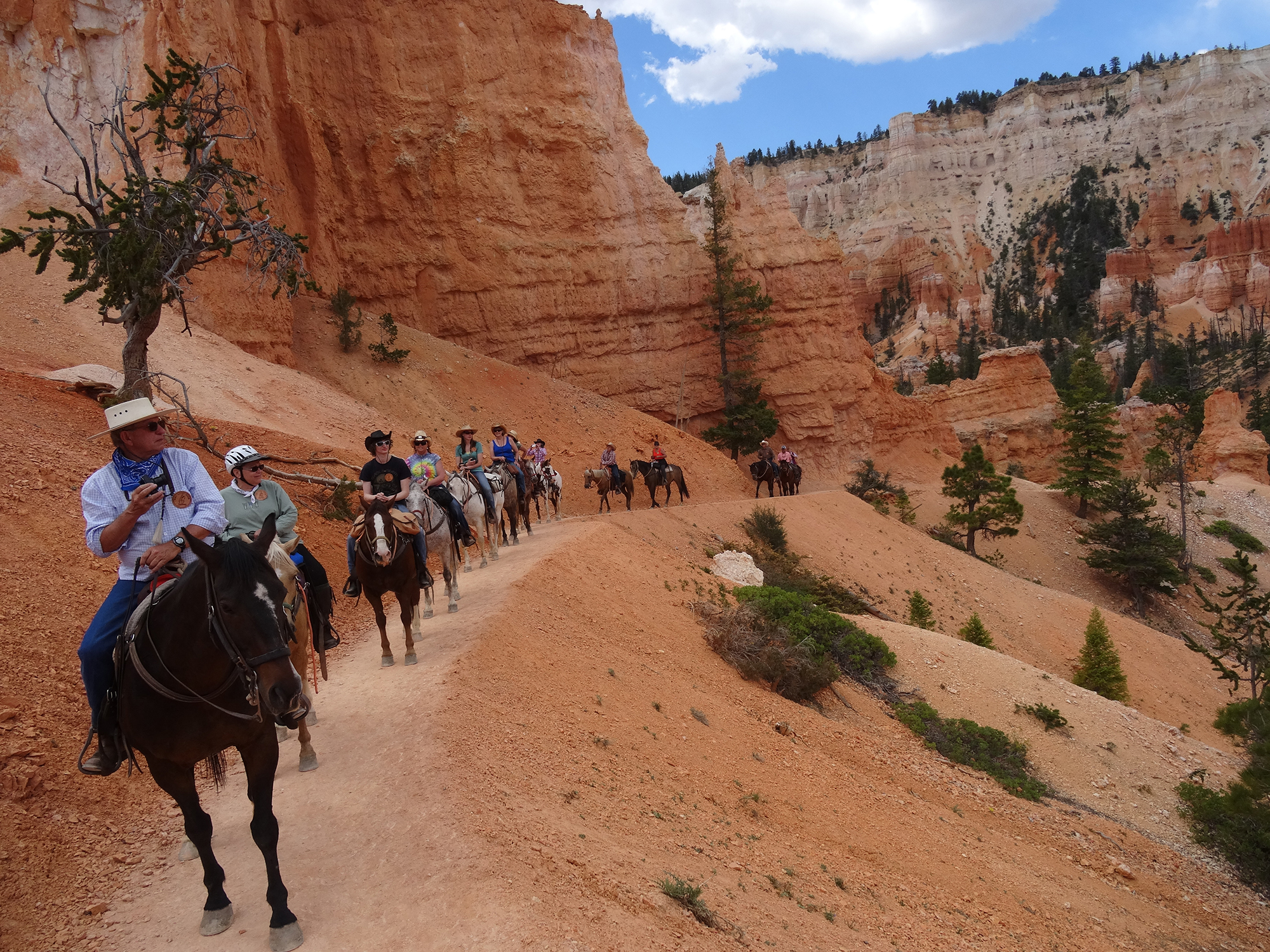 Red Rock Ride Rider Form 2014 Spring Ride 2 | Red Rock Ride