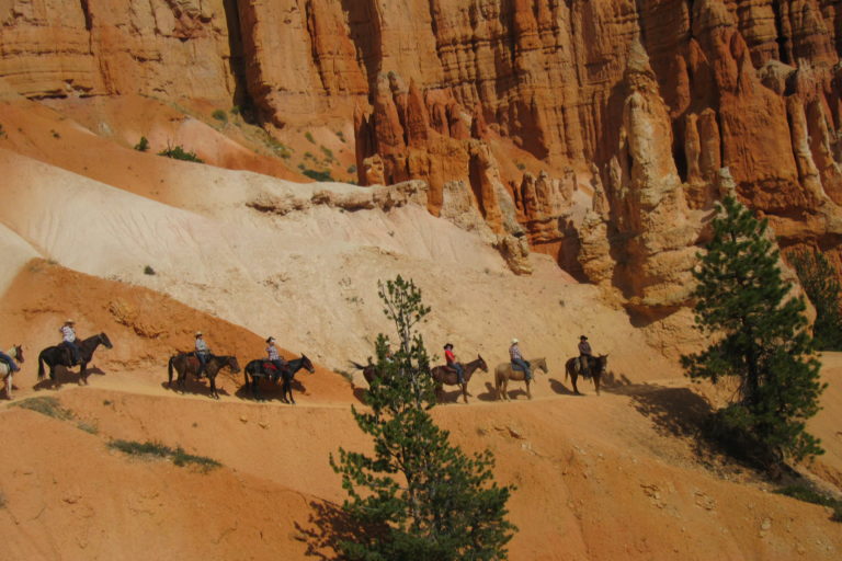 Red Rock Ride Rider Form Red Rock Ride
